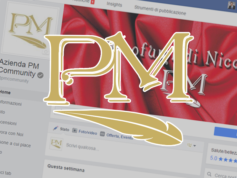 Logo PM Community E-Commerce Web Marketing Vincente